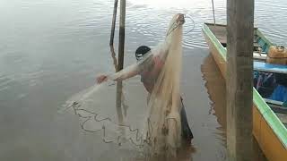 Menjala Di Sungai Segah Dapat Ikan Janda Cantik Wik Wik Wik28 Februari 2020