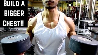 Full Chest Workout | My Routine To Build Up a Flat Chest