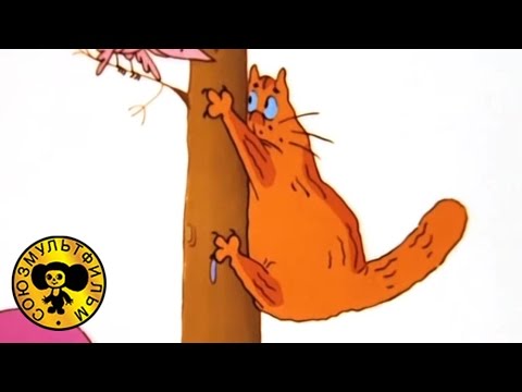 Читать как мыши кота хоронили Читать как мыши кота хоронили