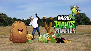 Plants Vs Zombies And Angry Plant Birds - bowser12345