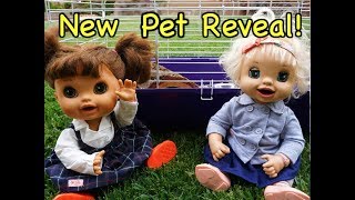 BABY ALIVE Reveals Newest Pet And Family Member!!