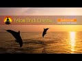 3 HOUR Relaxation Meditation: Instrumental Music, Deep Meditation, Relaxing Music, Yoga Music, ☯058A
