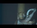 Giant Squid: Amazing deep-sea footage reveals giant squid in natural habitat