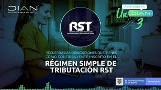 ¿Cuáles son las obligaciones de los contribuyentes inscritos al RST? - DIAN