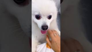 Asmr Daily Routine