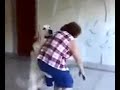 Cane si incula signora