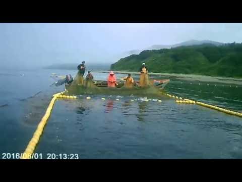 еду на рыбалку на сахалине еду на рыбалку на сахалине
