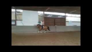 Doubty Training Doubty Training