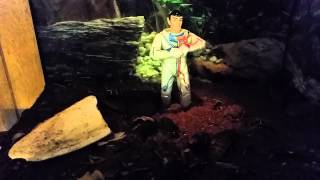 Watch Spock Trouble With Tribbles video