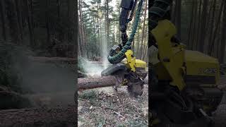How does the harvester 1270g process trees #johndeere #love #machine #viral #tree #wood #harvester