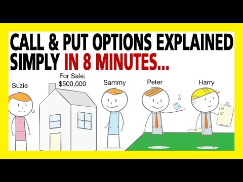 options calls and puts for dummies