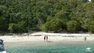 Tropical Treasure Hunt - Secluded Beach 🌴🌞🌴