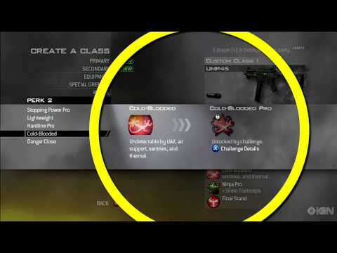 Modern Warfare 2: Build the Best Stealth Class