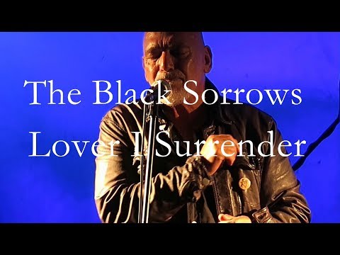 Lover I Surrender Video