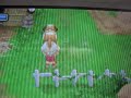 牧場物語 ふたごの村 ワンコとピョンスポプレイ