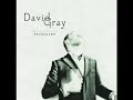 gossamer thread - david gray