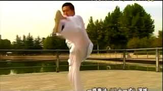 Li Bao Ting 李宝廷 Hong Jun Sheng Tai Chi Style Chen Xinjia Yilu Li Bao Ting 李宝廷 Hong Jun Sheng Tai Chi Style Chen Xinjia Yilu