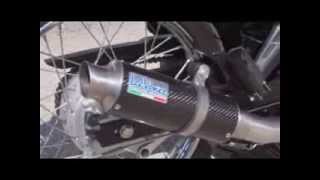 Silvertail blackjack vn 800