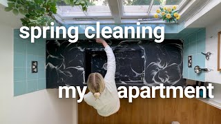 Deep Clean My Entire Apartment For Spring Steam Cleaning, Organizing & Decluttering
