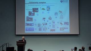 Elisabetta Cherchi Our IATBR 45 years contributing to travel behaviour research 2