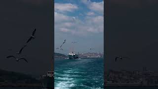 İstanbul Deniz...