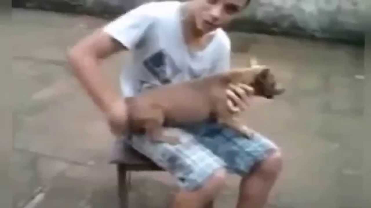 Дрочу Псу Форум