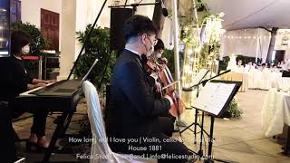 Ellie Goulding - How long will I love you | Piano Trio (violin, cello + piano) | Felice Studio