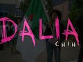 Dalia Chih - My Best Dream (Premix)