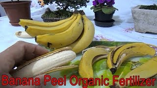 You'll Never Throw Away Banana Peels After Watching This | Recycling| DIY