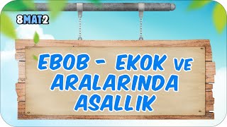 EBOB - EKOK ve Aralarında Asallık 📘 tonguçCUP 1.Sezon - 8MAT2 #2024LGS