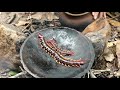 Survival skills: Catch centipede and grilled on clay for food - Cooking centipede eating delicious
