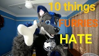 Top 10 Things Furries Hate