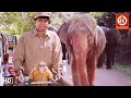 Main Aur Mera Haathi- Full Movie | मैं और मेरा हाथी | Mithun Chakraborty, Poonam Dhillon Movies
