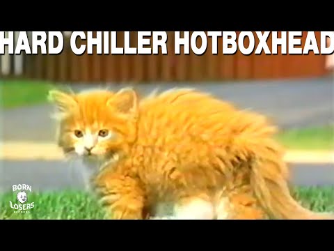 Hard Chiller - Hotboxhead (Official Video)