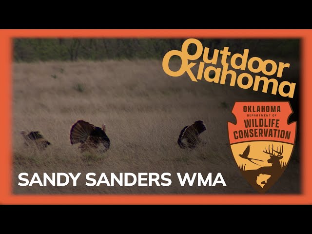 Watch Sandy Sanders WMA on YouTube.