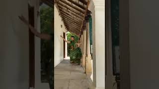 Shobana Dance Video