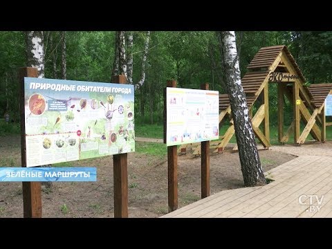 Чем могут похвастаться экотропы Минска? | Природа в шаговой доступности Чем могут похвастаться экотропы Минска? | Природа в шаговой доступности