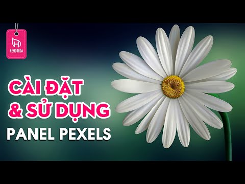 Phần 1 - Giới Thiệu & Cài Đặt Sử Dụng Panel Pexels Trong Photoshop | Hẻm Đồ Họa