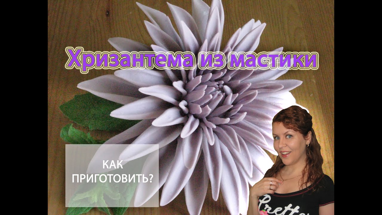 Как сделать хризантему на торт из мастики Как сделать хризантему на торт из мастики