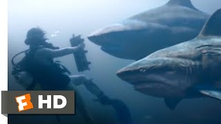 Deep Blue Sea 3 2020 - Underwater Knife Fight Scene 810 Movieclips