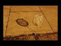 optical illusion