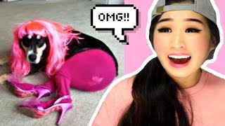 reasons why you shouldnt leave your pets with kids