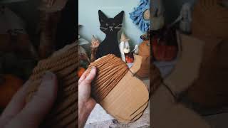 Cardboard & Macrame Cord Halloween Cat & Pumpkin