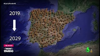 La avispa asiática tardará solo diez años en invadir España