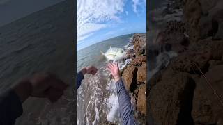 Quick Lil Catch And Release