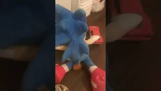 Sonic Pooped On The Me