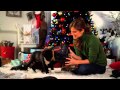 Clarks Shoes Holiday '12 Promo - QVC