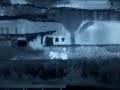 عراقي يناكح حمار