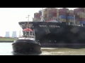 containership MSC IRENE in Antwerp port