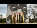 223 vs 6.5 Grendel vs 300 BO vs 7.62x39 vs 350 Legend: Steel Penetration Test